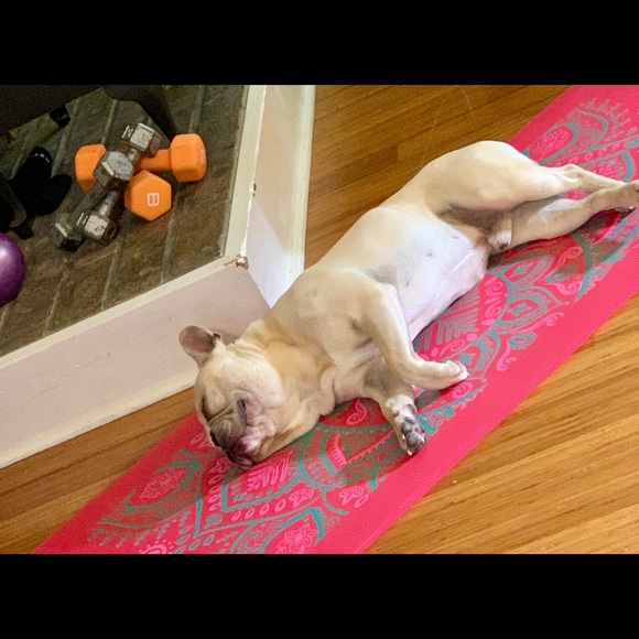 Meet your Posher, Mallory - Picture 4 of 6